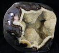 Calcite Crystal Filled Septarian Geode - Utah #33126-1